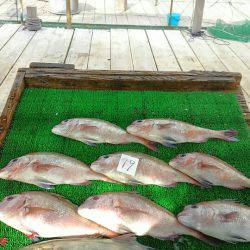 海の釣堀 海恵 釣果