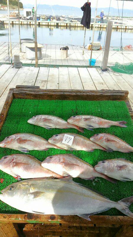 海の釣堀 海恵 釣果
