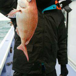 新幸丸 釣果