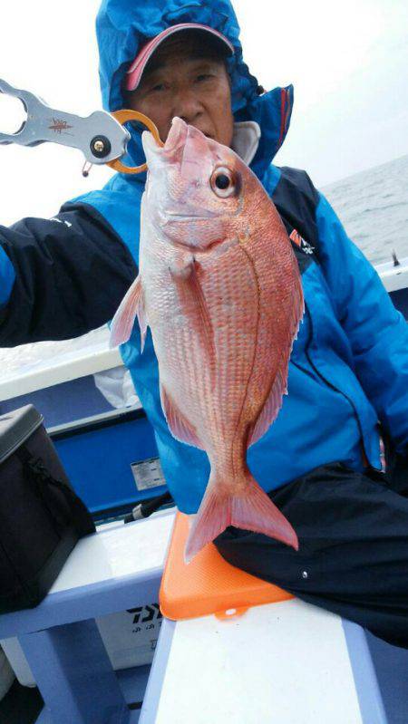 新幸丸 釣果