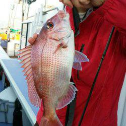 新幸丸 釣果
