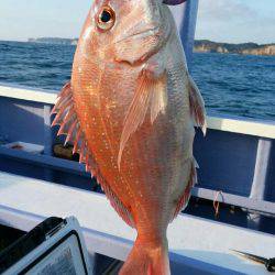 新幸丸 釣果