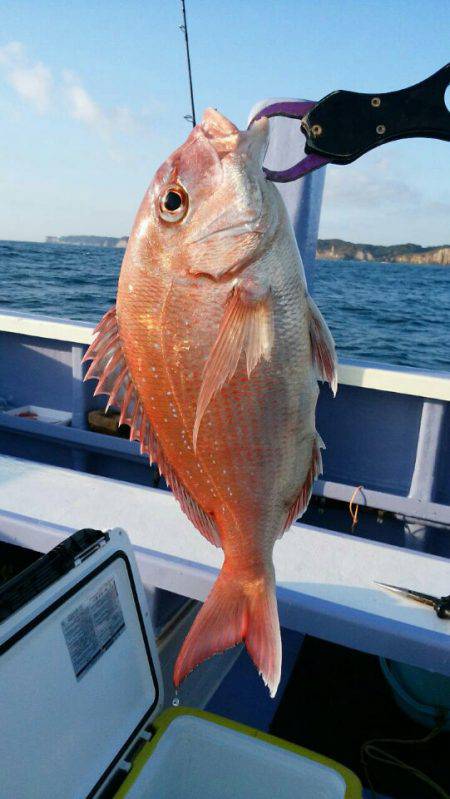 新幸丸 釣果