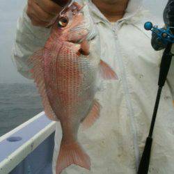 新幸丸 釣果