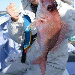 新幸丸 釣果