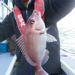 新幸丸 釣果
