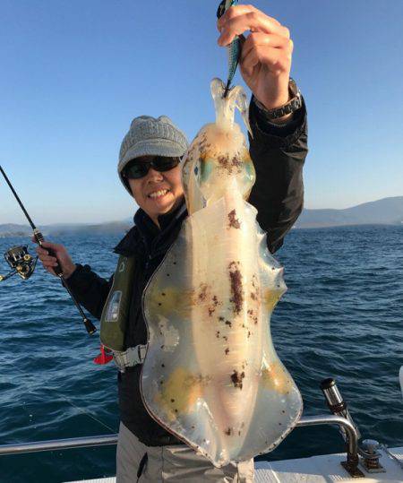 South Current 釣果