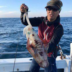 South Current 釣果