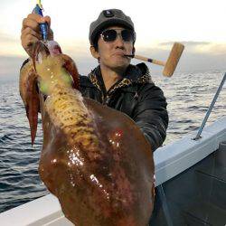 South Current 釣果