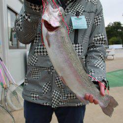 としまえんフィッシングエリア 釣果