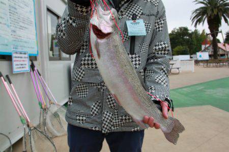 としまえんフィッシングエリア 釣果