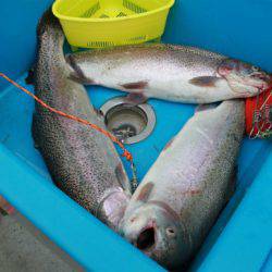 としまえんフィッシングエリア 釣果