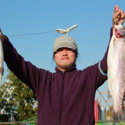 としまえんフィッシングエリア 釣果