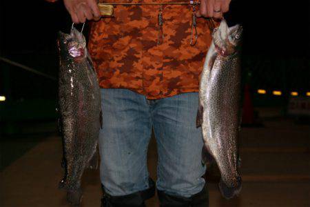 としまえんフィッシングエリア 釣果