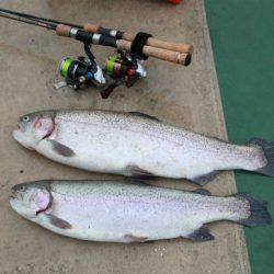 としまえんフィッシングエリア 釣果