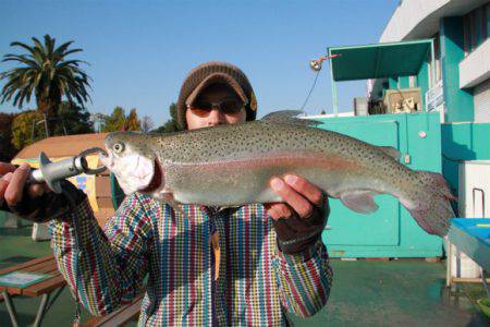 としまえんフィッシングエリア 釣果