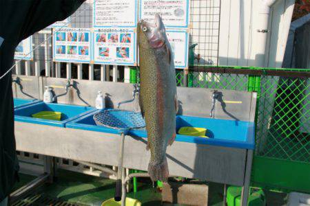 としまえんフィッシングエリア 釣果