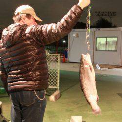 としまえんフィッシングエリア 釣果