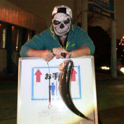 としまえんフィッシングエリア 釣果