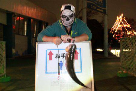 としまえんフィッシングエリア 釣果