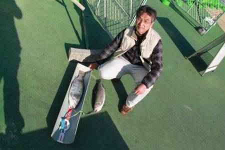 としまえんフィッシングエリア 釣果