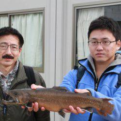 としまえんフィッシングエリア 釣果