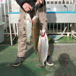 としまえんフィッシングエリア 釣果