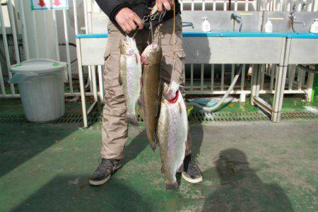 としまえんフィッシングエリア 釣果