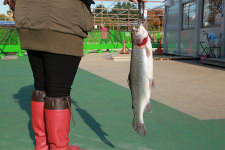 としまえんフィッシングエリア 釣果