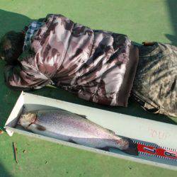 としまえんフィッシングエリア 釣果