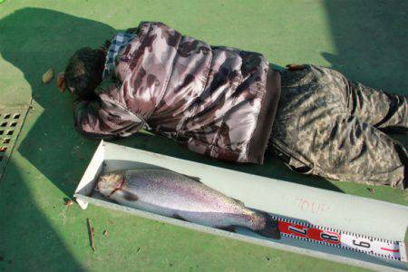 としまえんフィッシングエリア 釣果