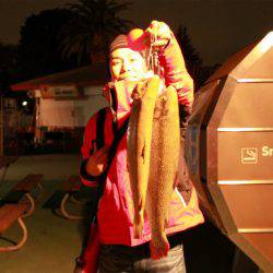 としまえんフィッシングエリア 釣果