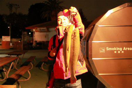 としまえんフィッシングエリア 釣果