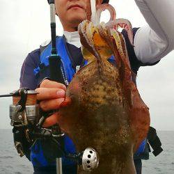 ブルースフィッシングサービス 釣果