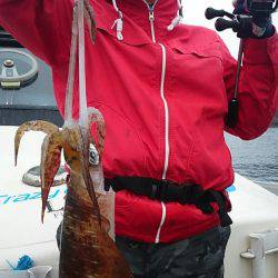 ブルースフィッシングサービス 釣果