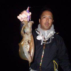 South Current 釣果