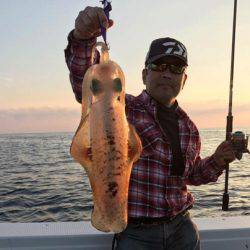 South Current 釣果