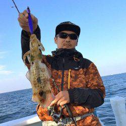 South Current 釣果