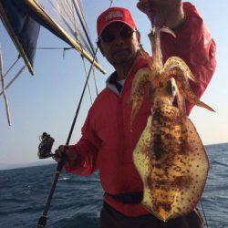 South Current 釣果