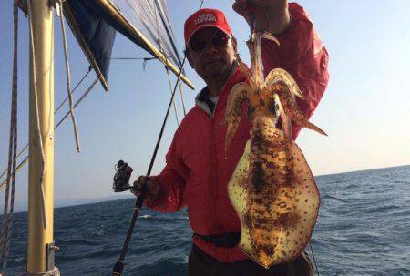 South Current 釣果