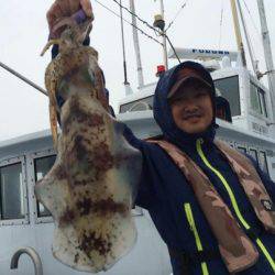 South Current 釣果