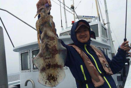 South Current 釣果