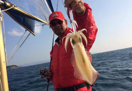 South Current 釣果