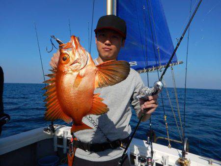 LUSTER『ラスター』 釣果