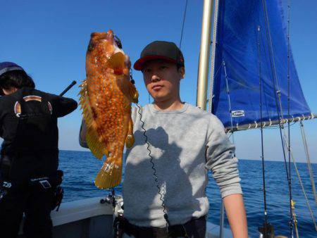 LUSTER『ラスター』 釣果