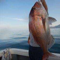 LUSTER『ラスター』 釣果