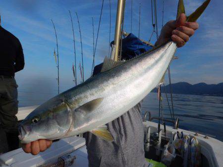 LUSTER『ラスター』 釣果