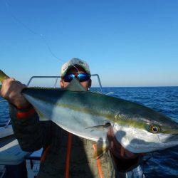 LUSTER『ラスター』 釣果