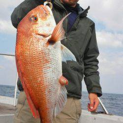 ブルースフィッシングサービス 釣果