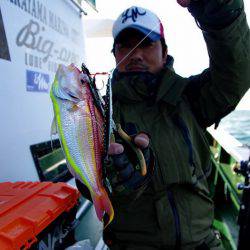 Big One ビッグワン 釣果